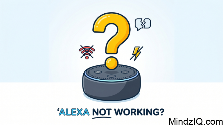 What to Do if your Alexa is Not Working?