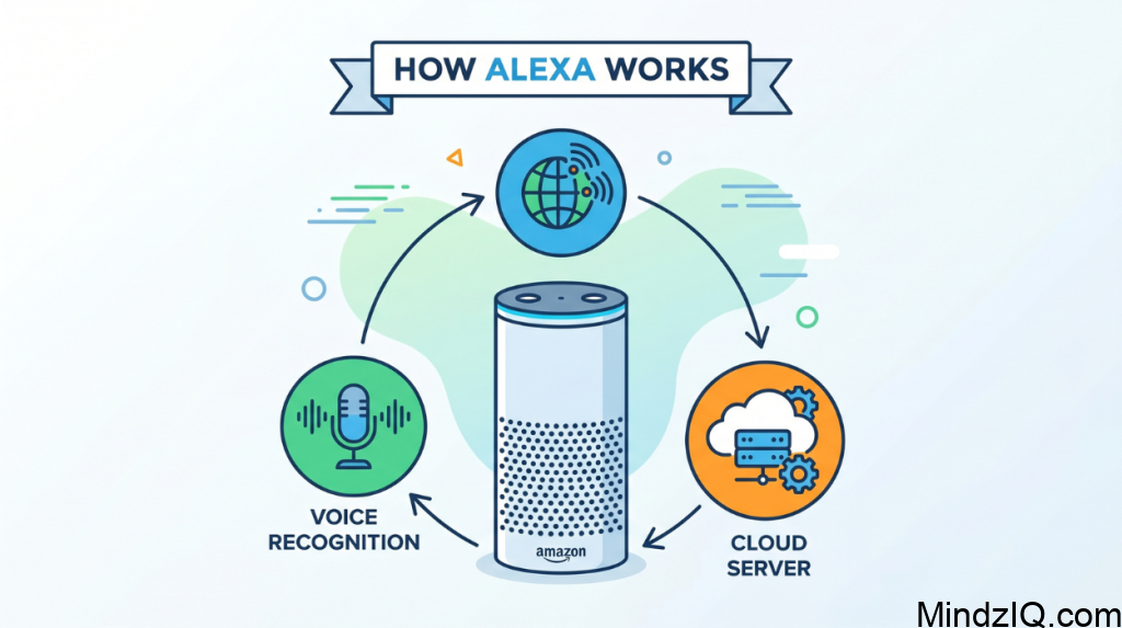 What to Do if your Alexa is Not Working?