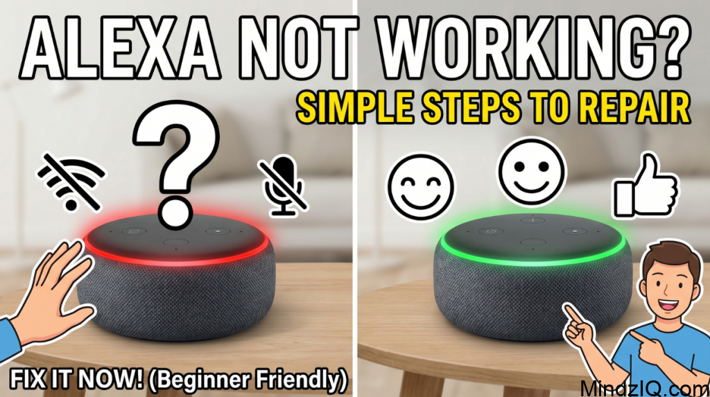 What to Do if your Alexa is Not Working?