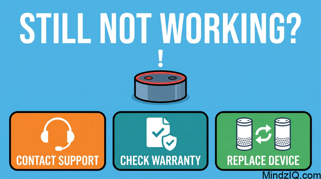 What to Do if your Alexa is Not Working?